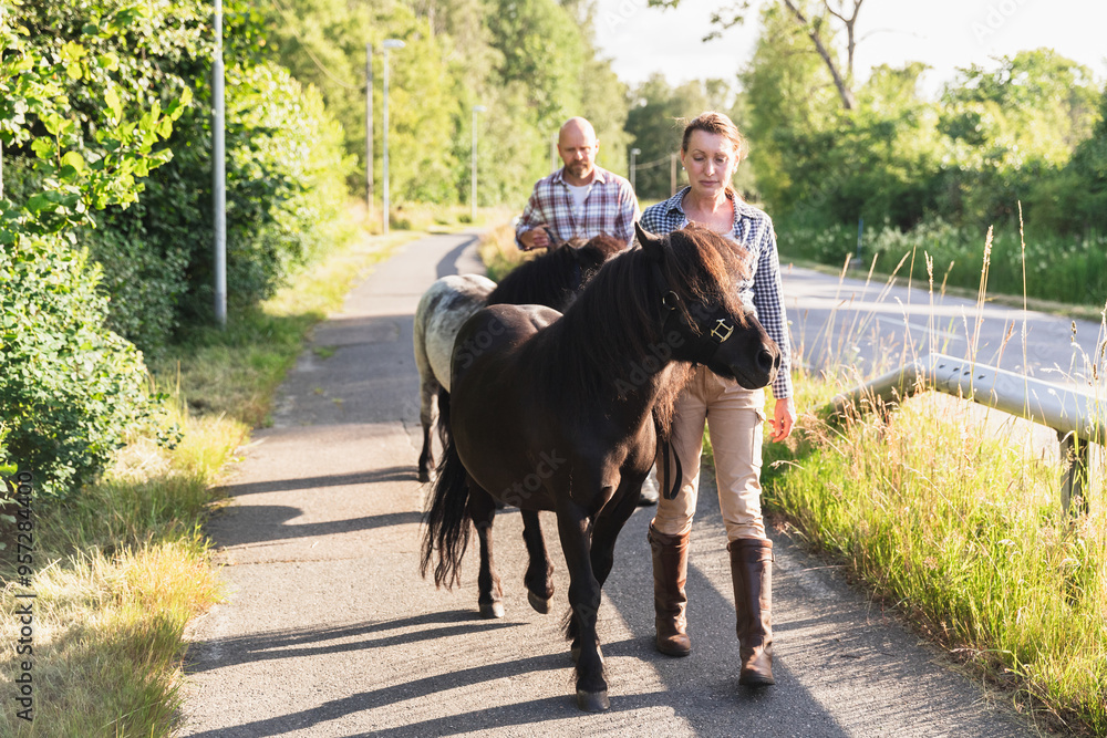 Farmer couple Walking with Pony on Path Farmer couple Walking with Pony on Path