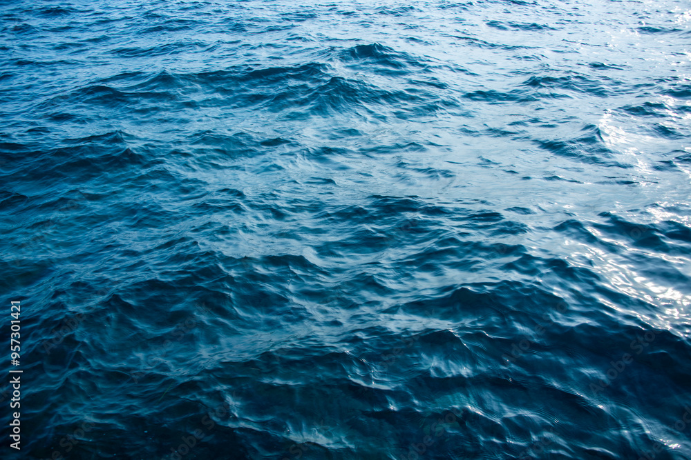 Water surface Water surface