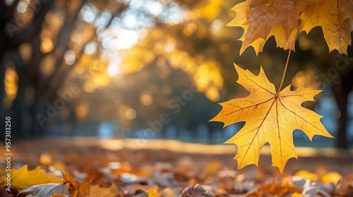 Close-up of golden autumn leaves gently falling in a sunlit park, capturing the serene beauty of fall with warm, glowing light