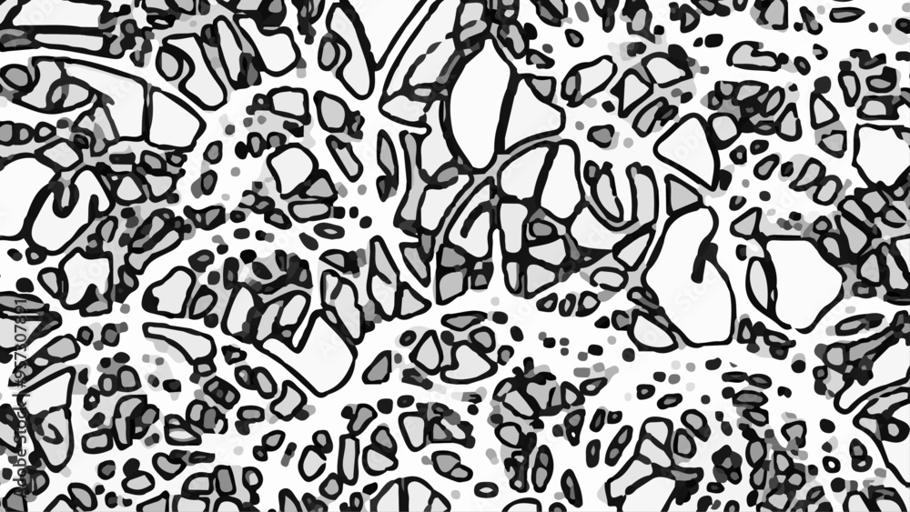 Fototapeta premium Abstract black and white background, Grunge black and white, 