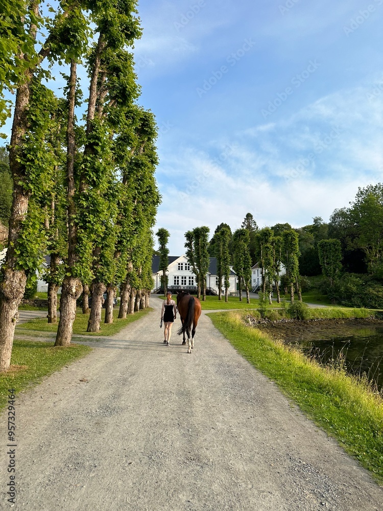 Naklejka premium person riding a horse, walking