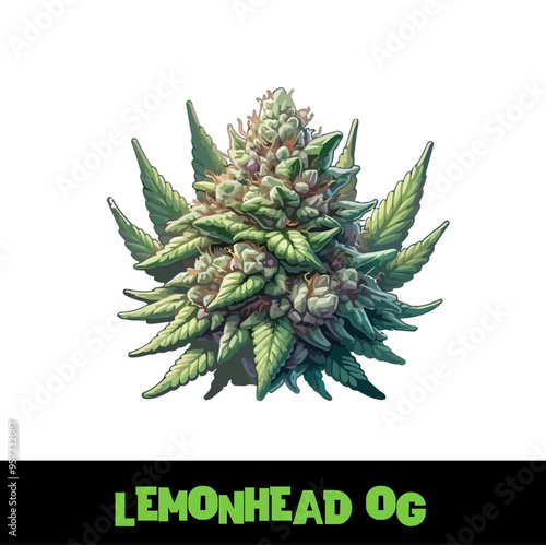  Vector Illustrated Lemonhead OG Cannabis Bud Strain Cartoon