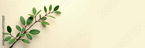 A serene green branch against a soft beige background, perfect for eco-friendly designs, natural products, or wellness branding. photo