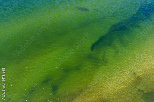 Uzava, Latvia - August 06, 2024. Shallow water of Baltic sea with sand and water grass structure by lighthouse photo