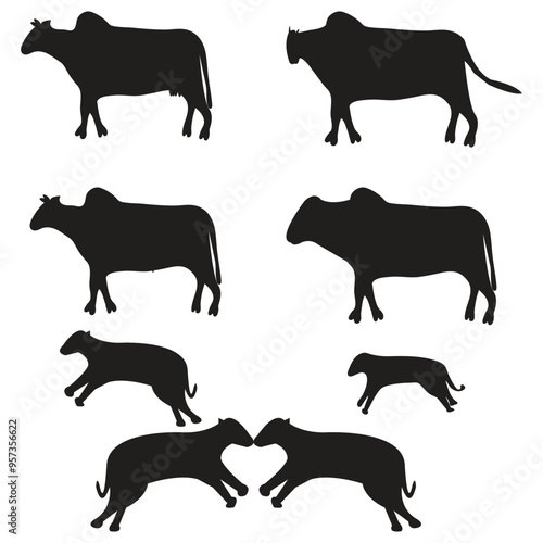 Unicque cow  vector  desigen 277