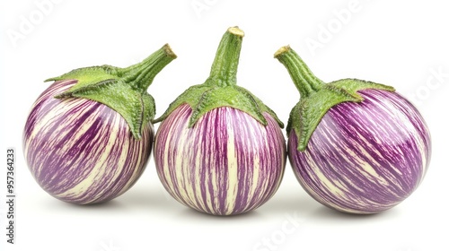 Wallpaper Mural Thai Kermit aubergines, isolated Torontodigital.ca