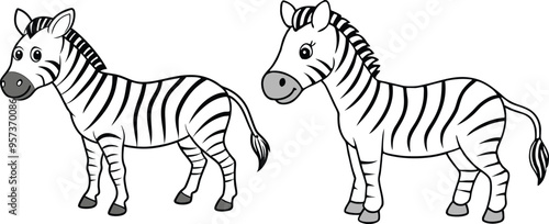 Vector of cartoon zebra illustration on white 
