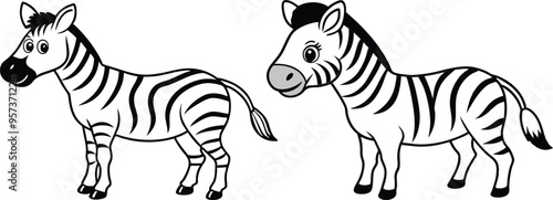Vector of cartoon zebra illustration on white 