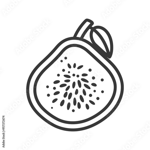 Black and white line drawing of a halved fig with seeds