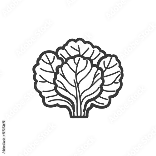 Black and White Line Drawing of a Head of Lettuce
