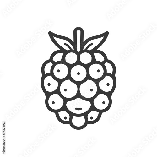 Black and White Line Drawing of a Raspberry