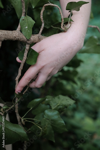 Nude body in the forest photo