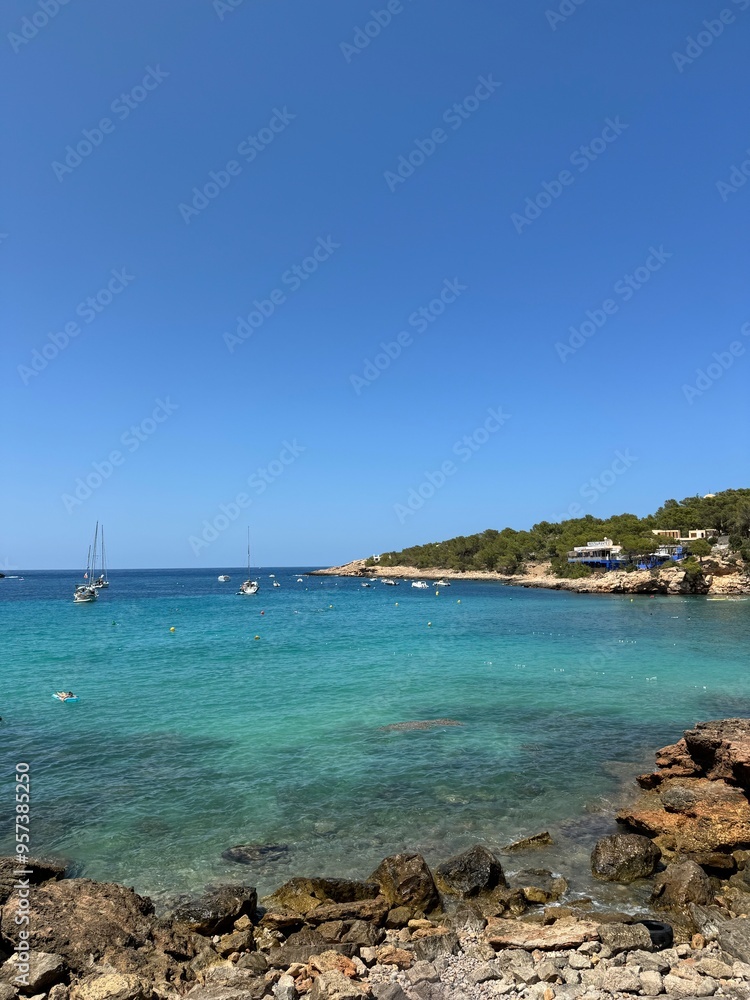 Fototapeta premium beach and sea in Ibiza