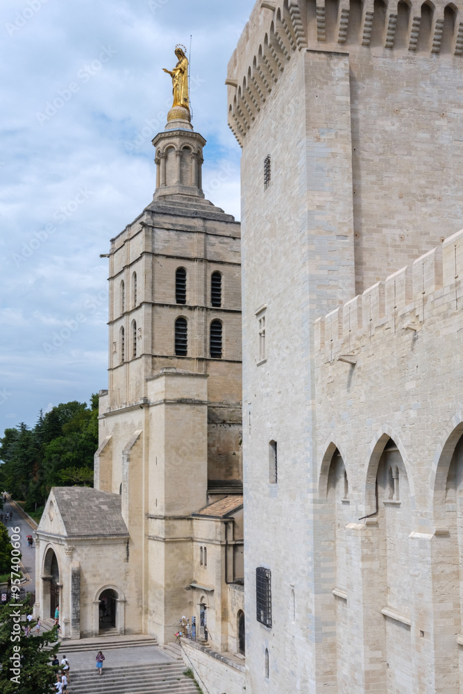 Fototapeta premium Details of the Papal Palace in Avignon