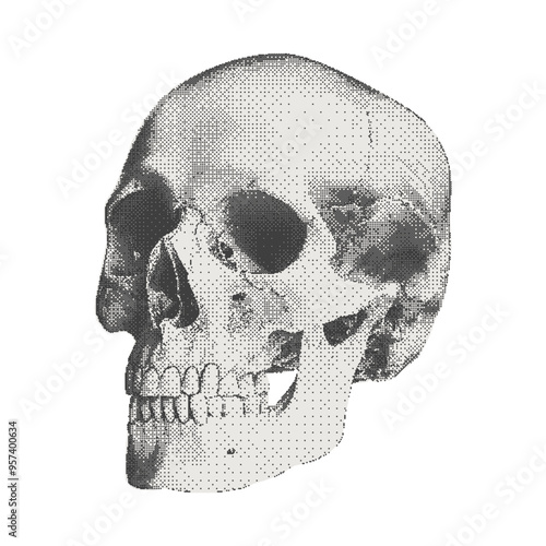 Monochrome human skull. Halftone collage element in retro bitmap style for scrapbook, poster art or t-shirt. Cutout dotted sticker with grain texture.