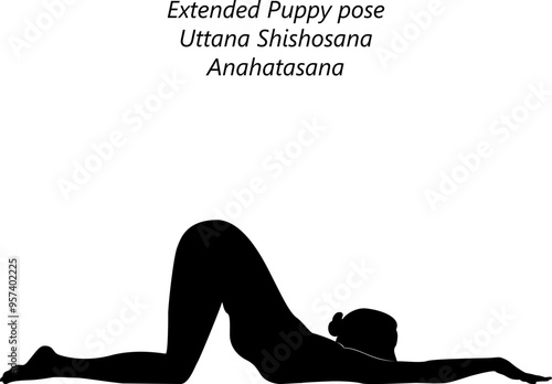 Silhouette of young woman practicing Uttana Shishosana yoga pose. Anahatasana. Extended Puppy pose.  Isolated vector illustration