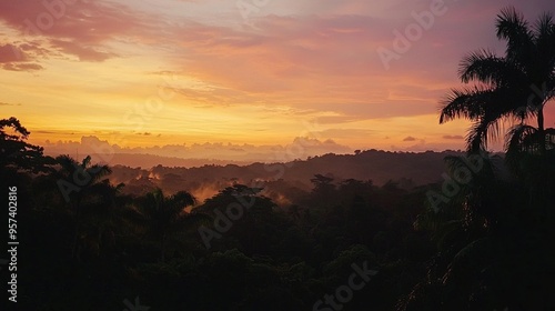  The sun sets in the distance beyond trees in the foreground while a palm tree is visible far away