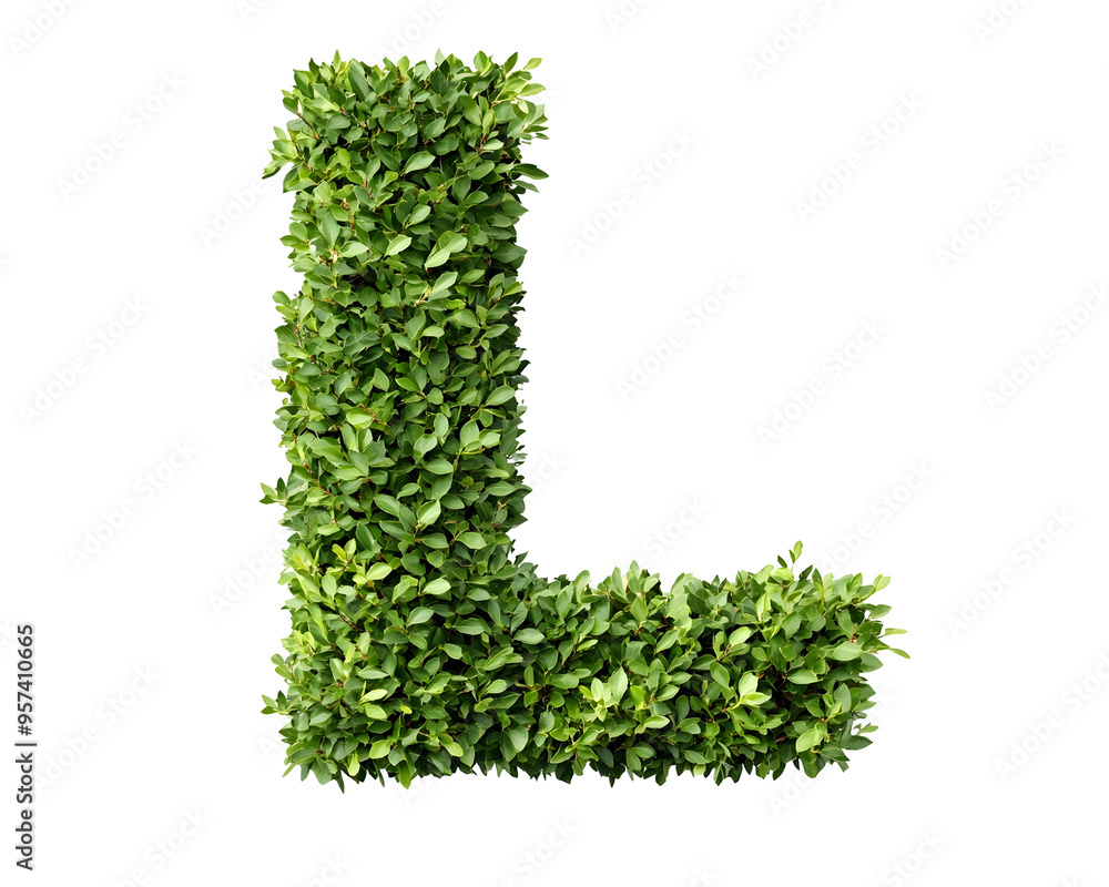 Letter Letter