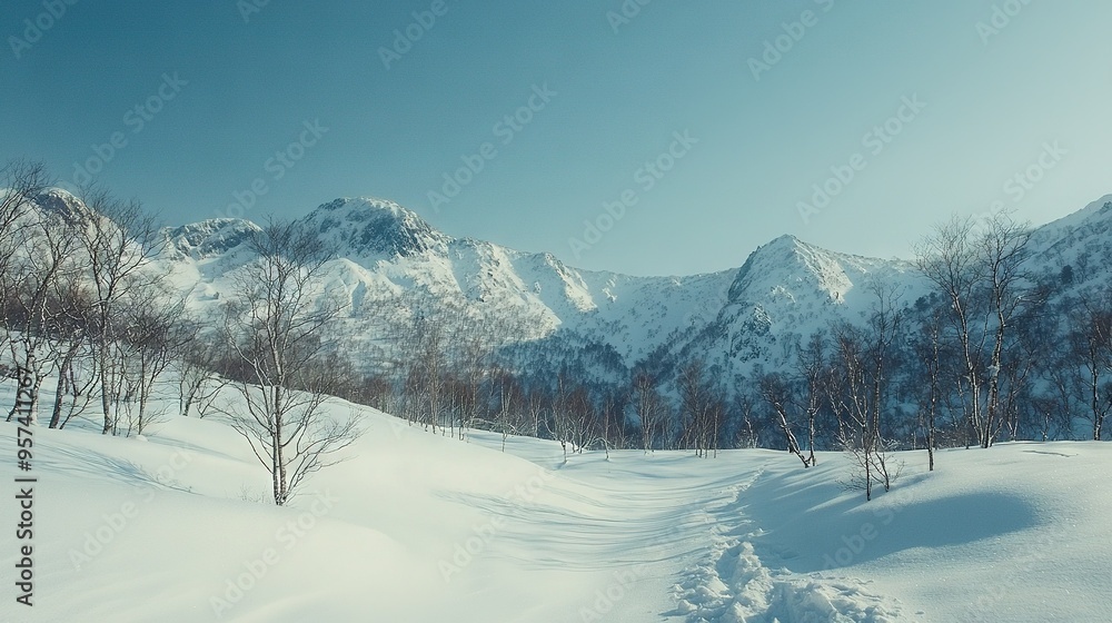 A snow-covered mountain with a trail in the foreground and trees in the background A snow-covered mountain with a trail in the foreground and trees in the background