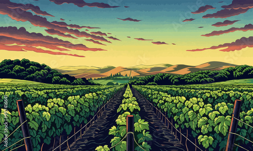 Linear vector illustration of a vineyard.