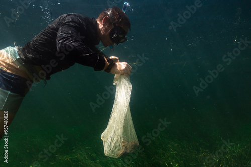 Man searches for scallops underwater