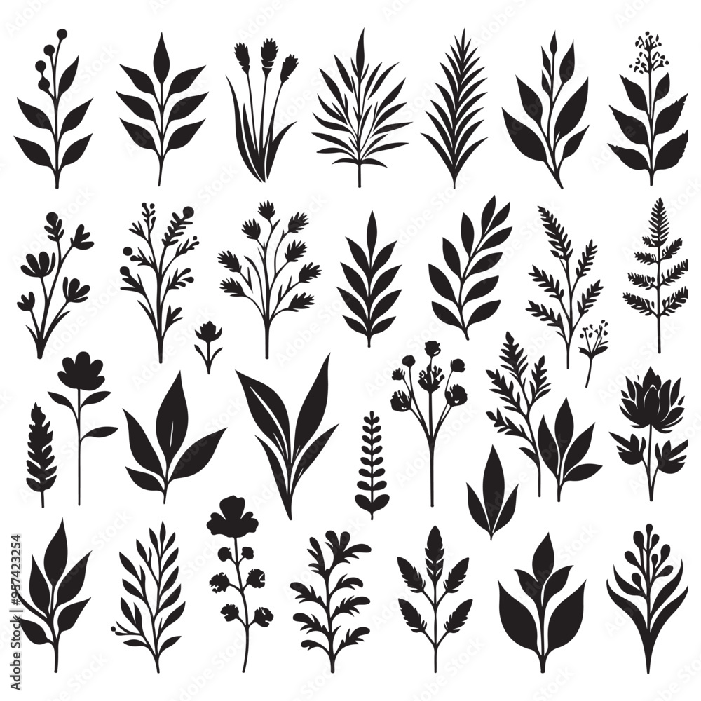 black Silhouettes of plants set image with white background black Silhouettes of plants set image with white background