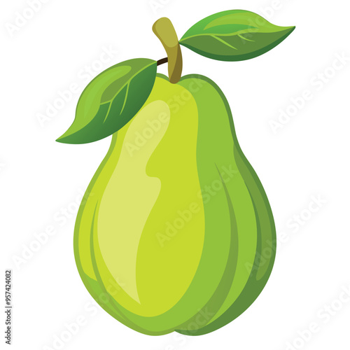 guava, fruit vector illustration on white