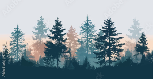 A linear vector of a forest with pine trees.
