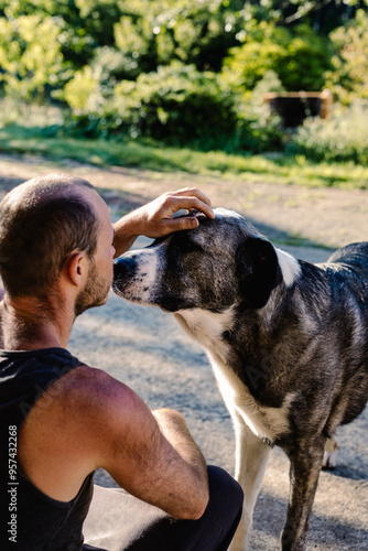 A Spanish Mastiff dog and his owner spend quality time together photo