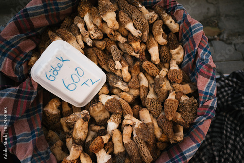 Fresh Morel Mushrooms in Market Basket photo