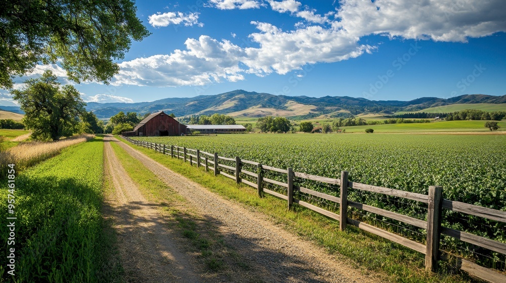A scenic farm landscape with a wooden fence leading to a field of crops, a classic barn, and rolling hills in the distance. A scenic farm landscape with a wooden fence leading to a field of crops, a classic barn, and rolling hills in the distance.