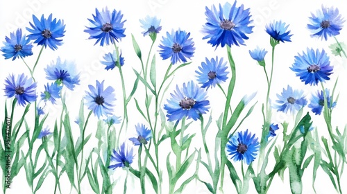 Blue Flower Garden in Watercolor