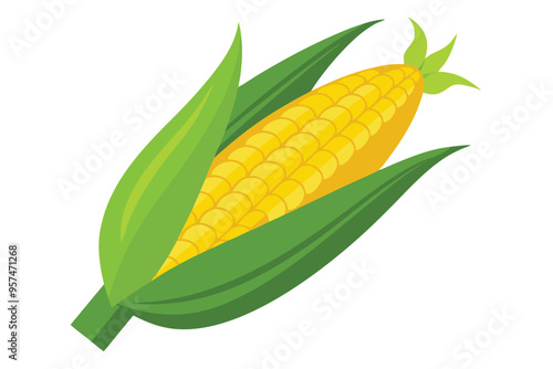  Corn Vector Illustration 