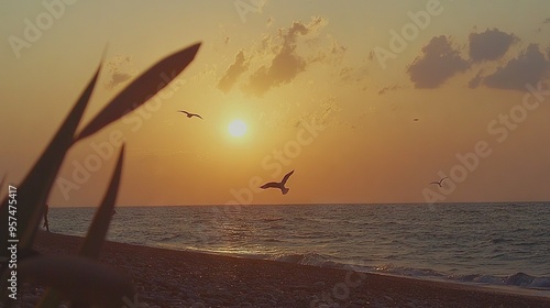   A pair of birds soaring above a lake near the sea as the sun descends in the sky photo