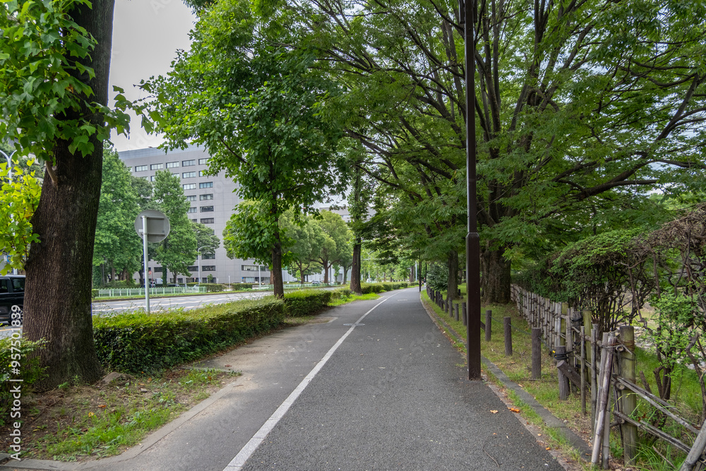 Obraz premium An urban street in Japan with lush green trees lining the road,creating a canopy of shade.A paved pathway runs alongside the road for pedestrians and cyclists, separated from the car traffic by shrubs