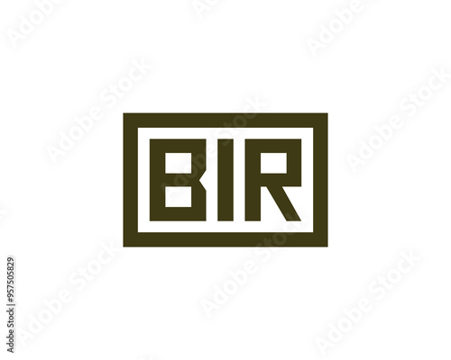 BIR Logo design vector template. BIR