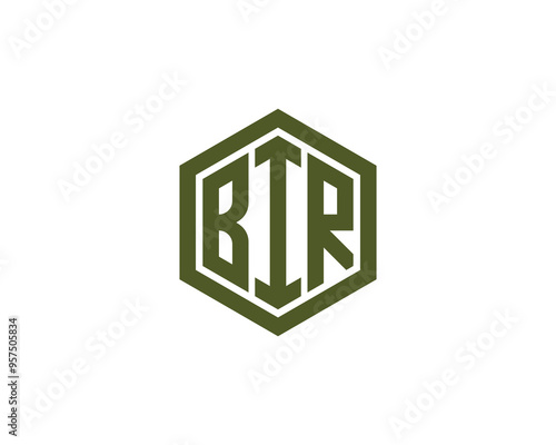 BIR Logo design vector template. BIR