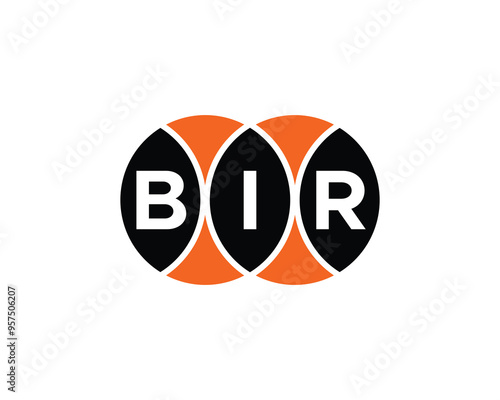 BIR Logo design vector template. BIR