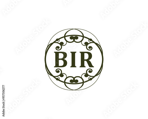BIR Logo design vector template. BIR