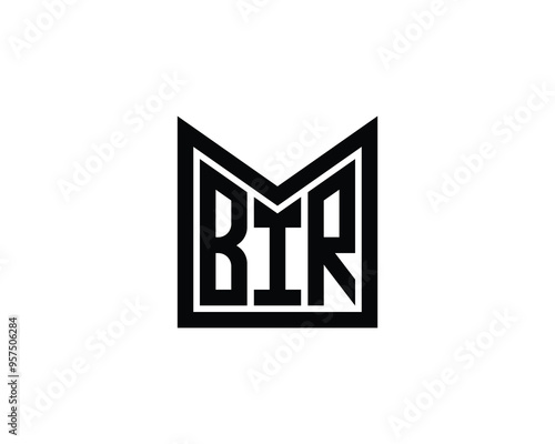 BIR Logo design vector template. BIR