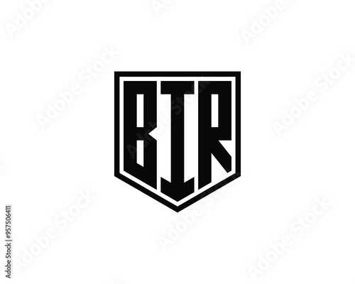 BIR Logo design vector template. BIR