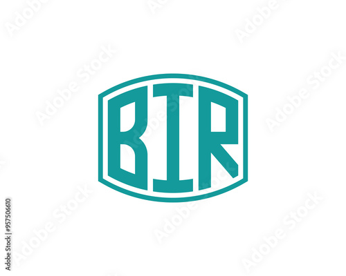 BIR Logo design vector template. BIR