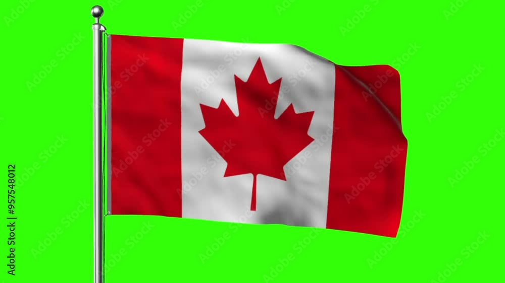 The national flag of Canada displayed against a green screen backdrop The national flag of Canada displayed against a green screen backdrop
