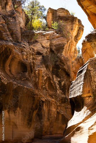 Slot canyon rock mountain escalante utah photo