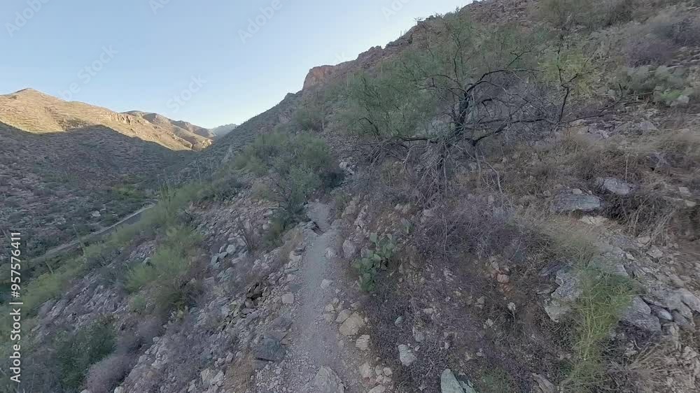 Hiking Along Trails in Sabino Canyon Hiking Along Trails in Sabino Canyon