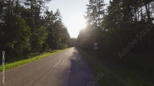 Along the forest road towards the sun