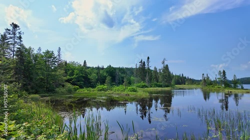 Beautiful wild Crown Land Lake and mountains forests of Canada, North America. Clear calm water flowing surrounded by unchartered nature. Epic landscape and tranquil lake, clouds mirroring on surface. photo