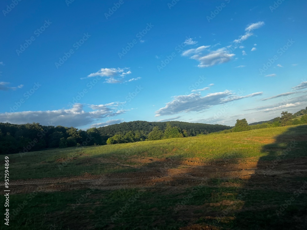 Fototapeta premium landscape with grass
