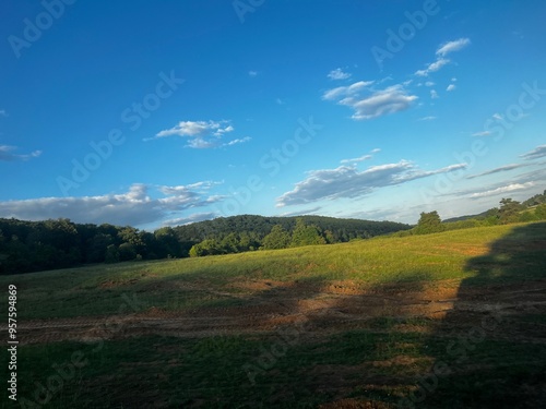 landscape with grass