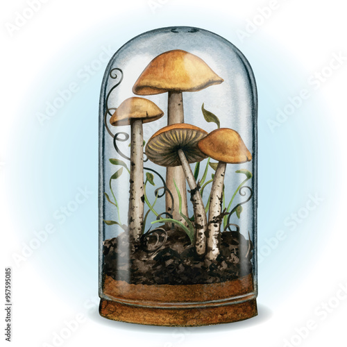 Watercolor hand drawn glass dome with mushrooms